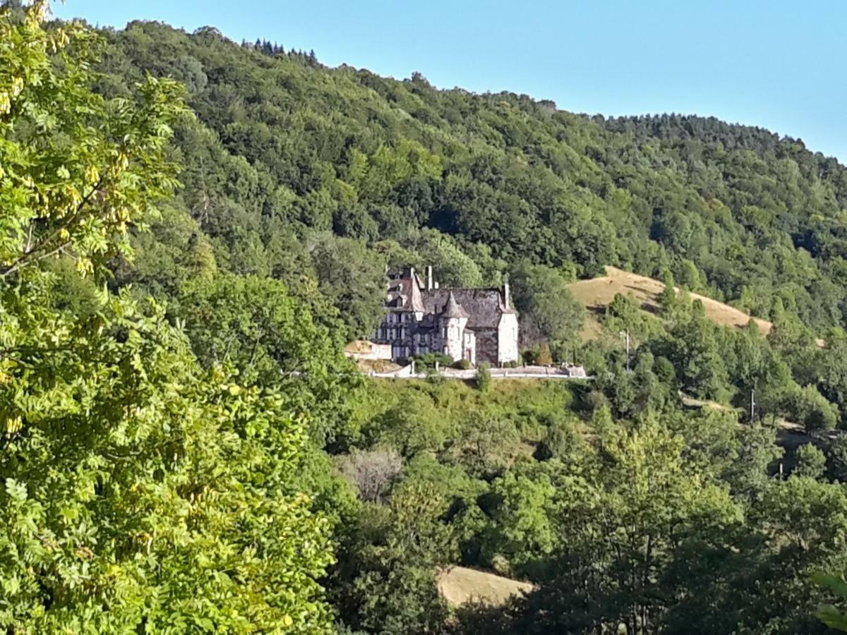 Chateau De Courbelimagne, Raulhac Dış mekan fotoğraf